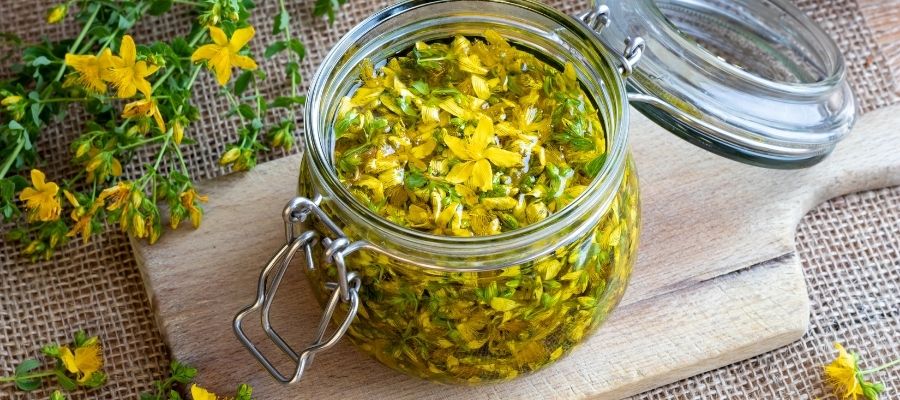 Sarı Kantaron Kullanımında Dikkat Edilmesi Gerekenler