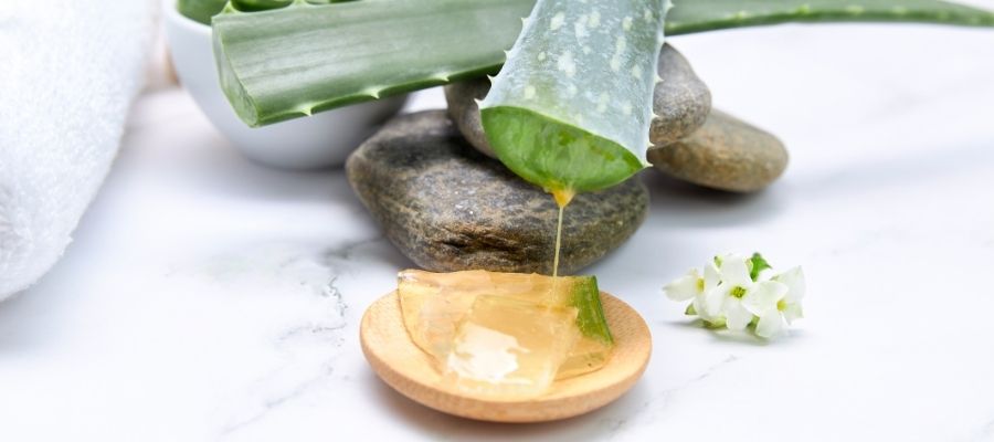 Aloe Vera Saç Maskesi: Saç Derisini Besler ve Saçları Güçlendirir
