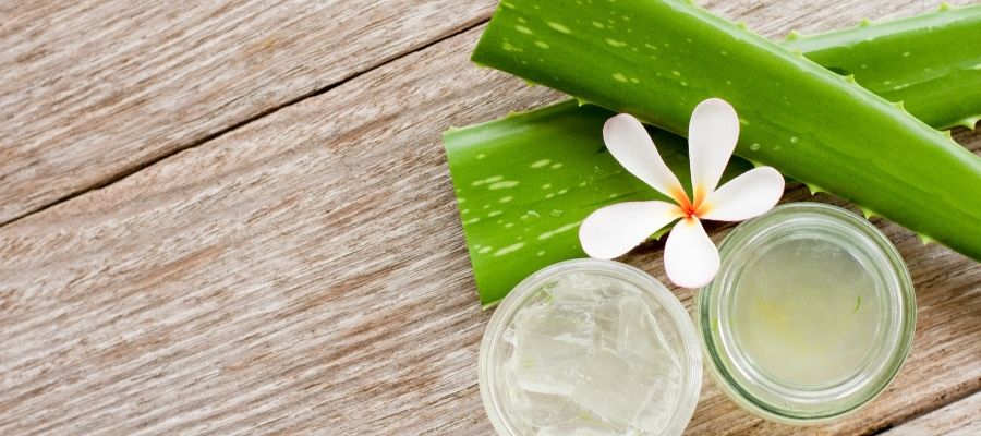 Aloe Vera Maskesi: Cildiniz İçin Doğal Bakım