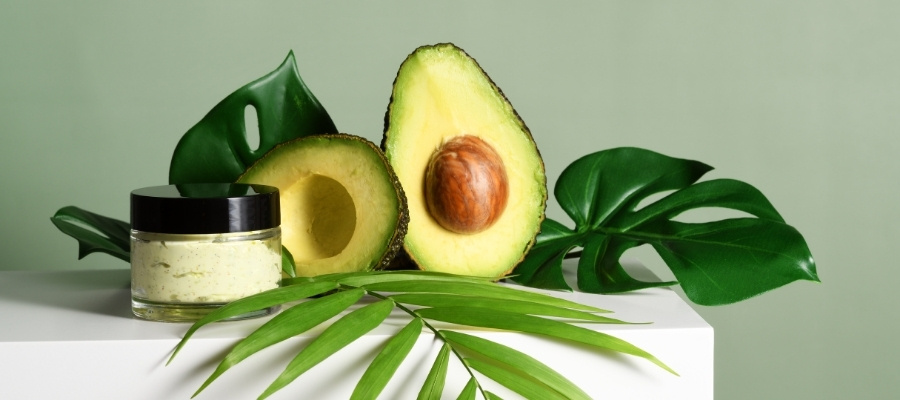 Avokado Yaprağı Çayı Faydaları: Antioksidan ve Vitamin Deposu