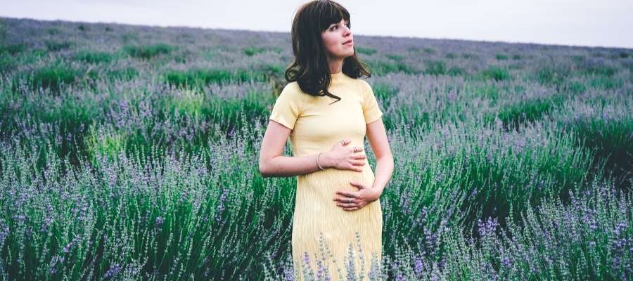 Birinci Trimester: Gebeliğin İlk Üç Ayı