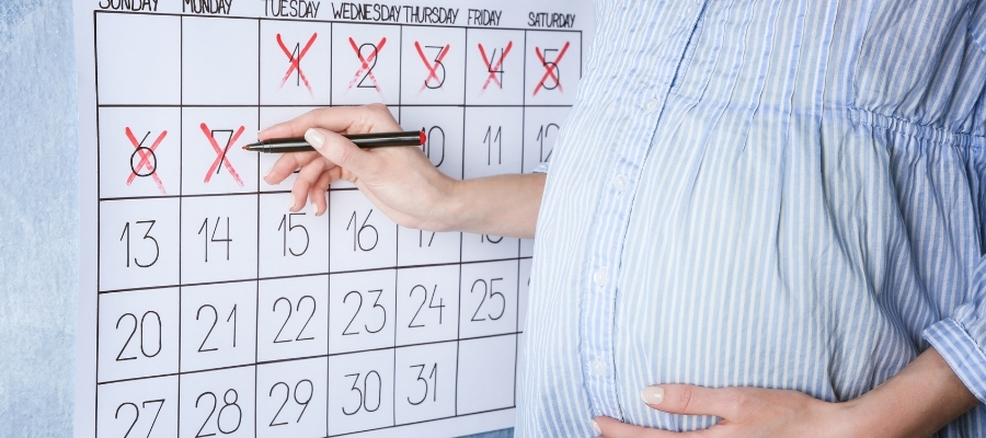 Üçüncü Trimester: Doğumun Yaklaştığı Dönem