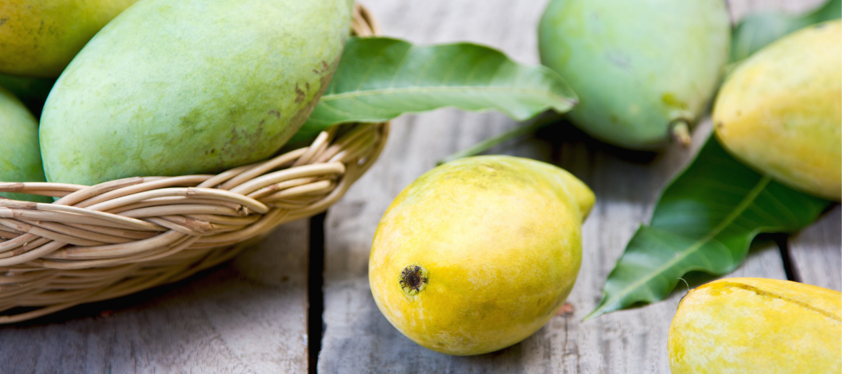 Mango Meyvesinin Faydaları Nelerdir?