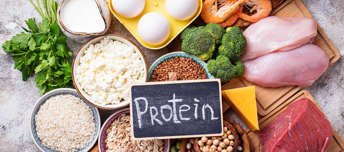 Protein ve Lif İçeren Besinler Hangileridir?