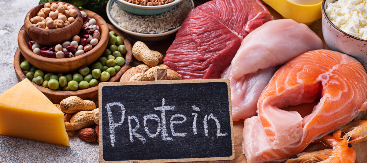 Yağsız Protein İçeren Besinler Nelerdir?