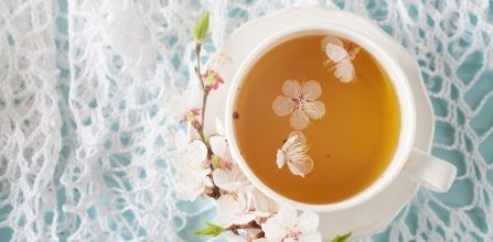 Kiraz Sapı Çayının İnsan Sağlığına Yararları