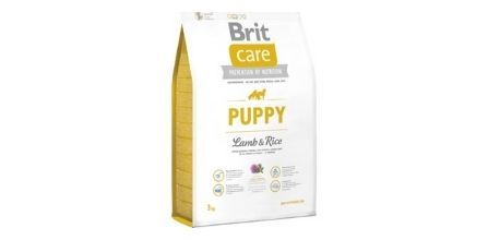 Brit Care Köpek Maması ile Mutlu Köpekler