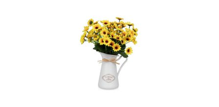 Farklı Yöntemler ile Bitki Bakımı