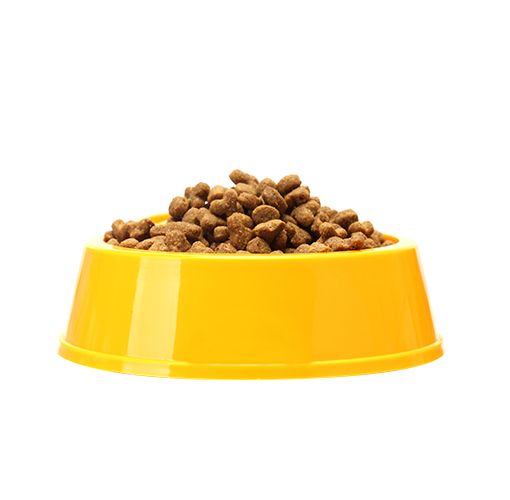 petshopurunleri