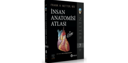 Güneş Tıp Kitabevi Netter Insan Anatomisi Atlası