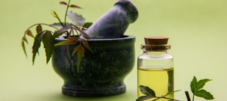 Holistik Sağlık Yaklaşımı: Ayurvedik Beslenme