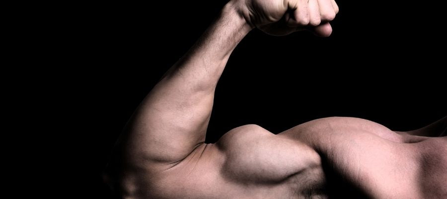 Kas Gelişiminin Temeli: Biceps Nedir?