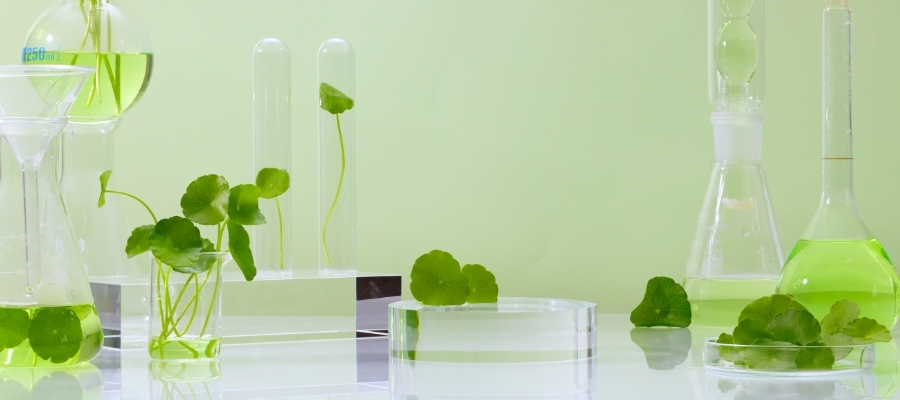 Centella Asiatica'nın Bilimsel Araştırmaları ve Sonuçları