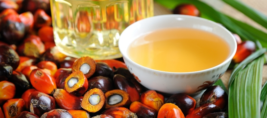 Palmiye Yağının Beslenme ve Sağlık Üzerine Etkialeri
