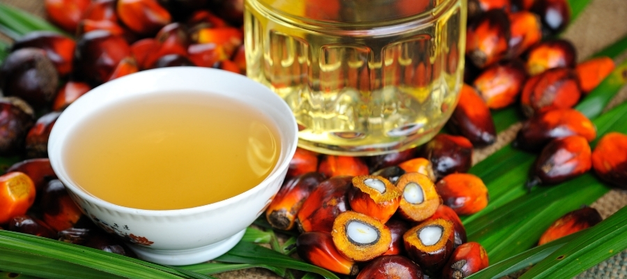 Palmiye Yağının Kozmetik Sektöründeki Kullanımı