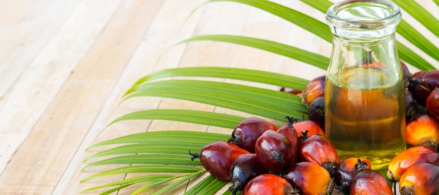 Palmiye Yağı ve Sürdürülebilirlik: Bilinmesi Gerekenler