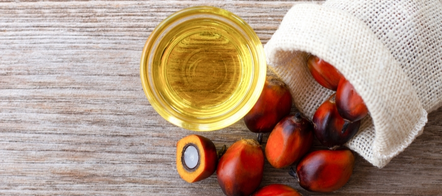 Doğanın Mucizesi: Palmiye Yağının Keşfedilmemiş Faydaları