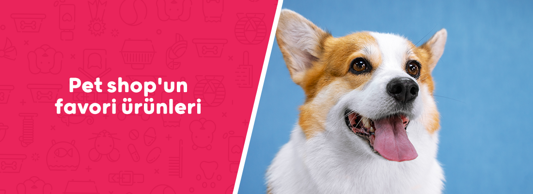 Pet shop'un favori ürünleri