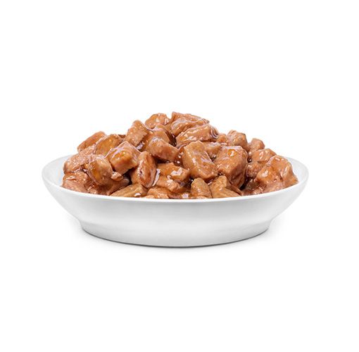 catfood