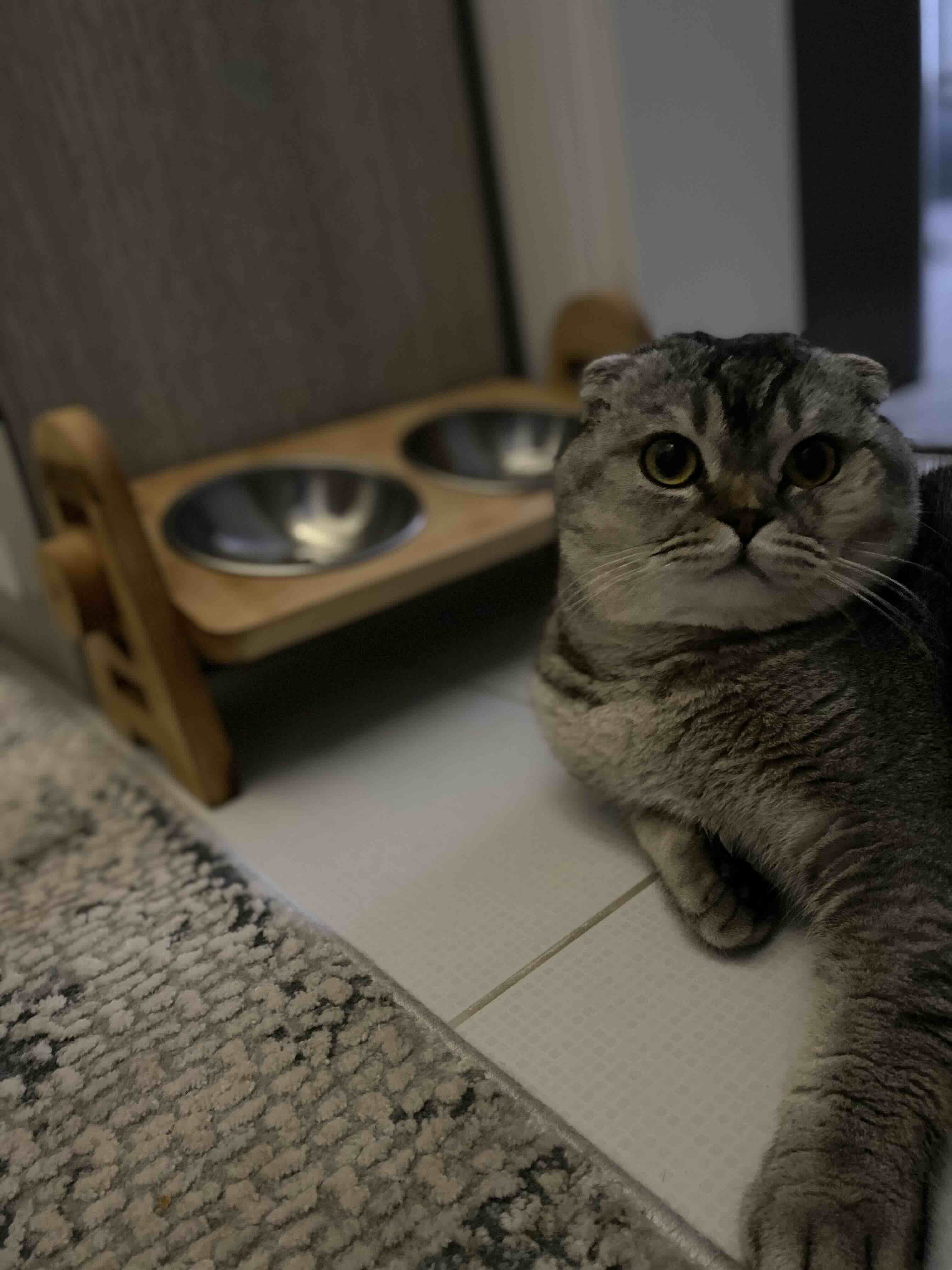Müşteri fotoğrafı