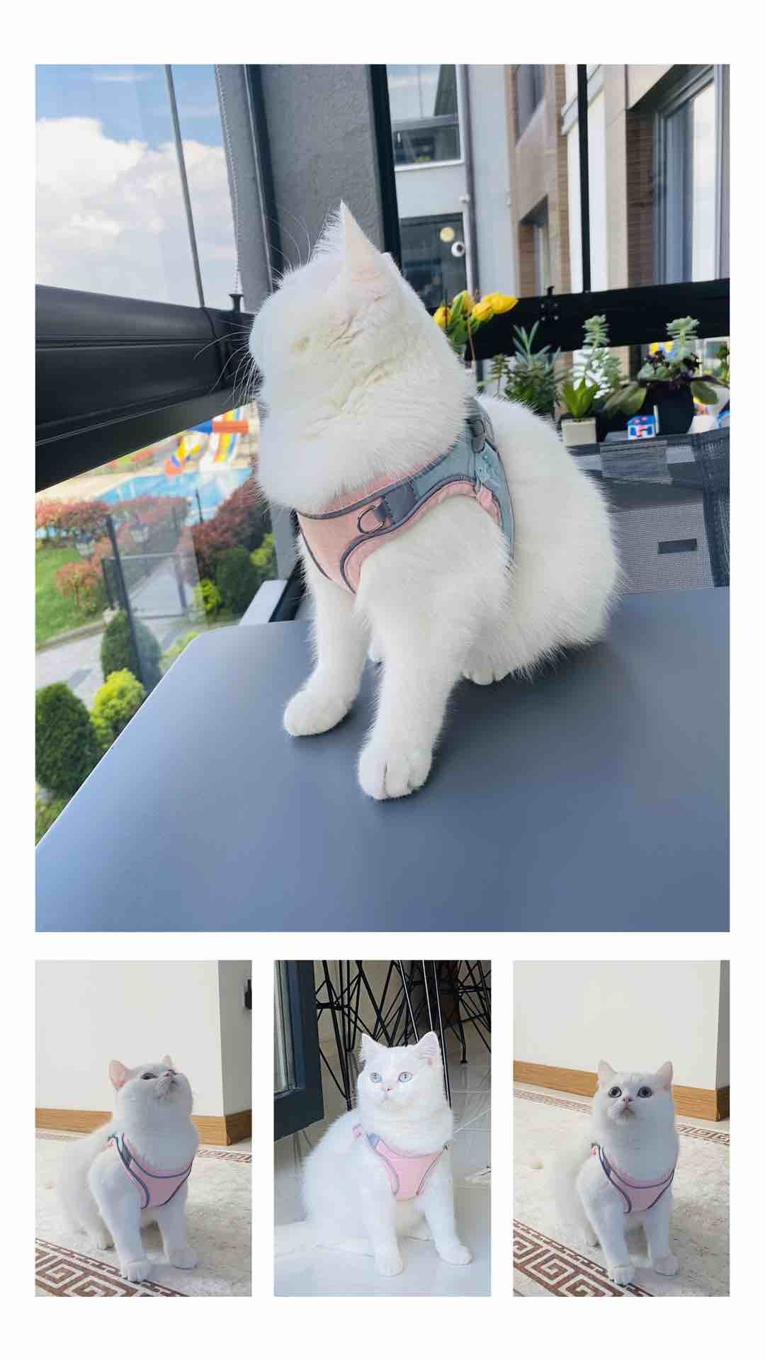 Müşteri fotoğrafı
