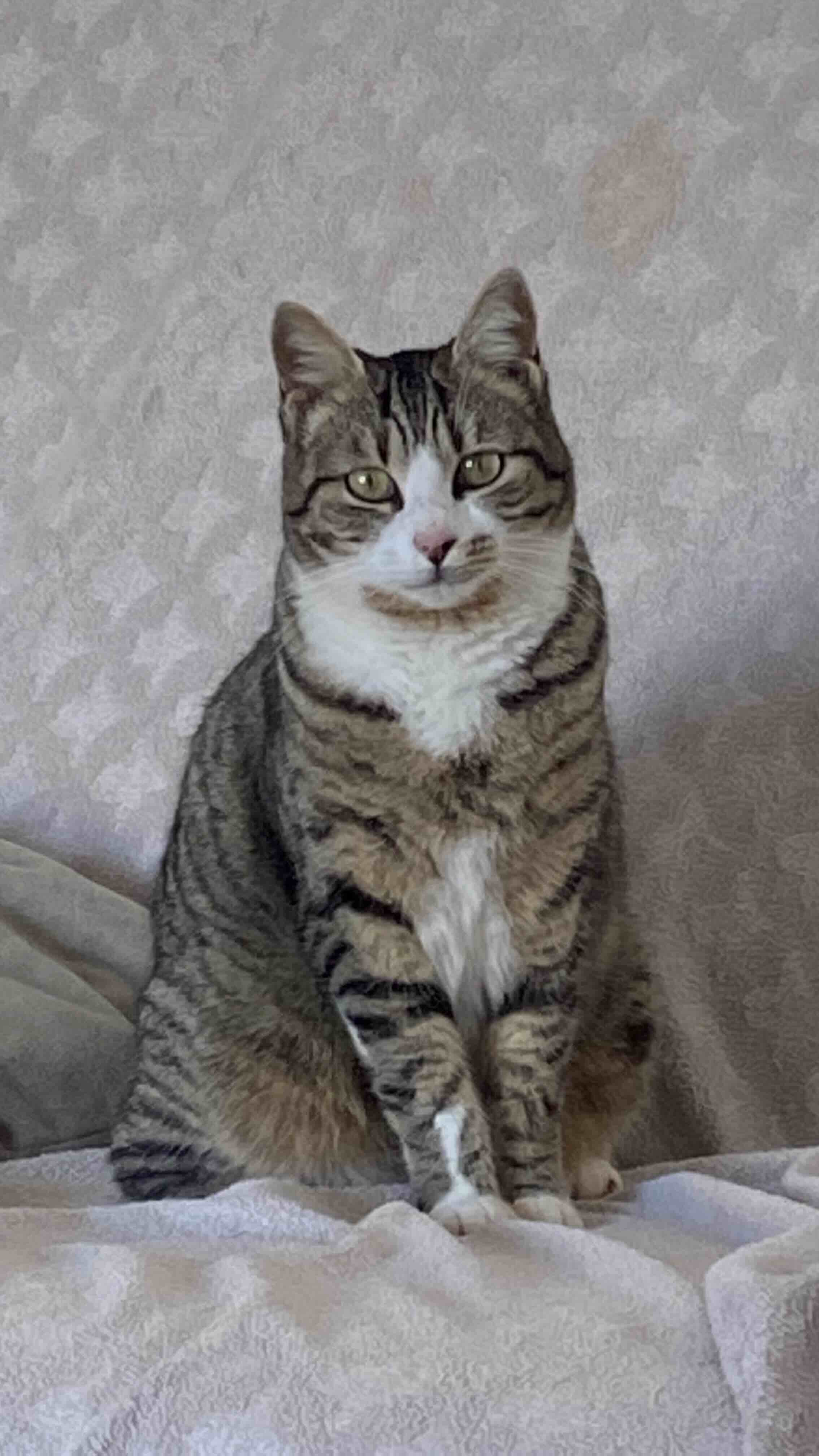 Ürün Görseli