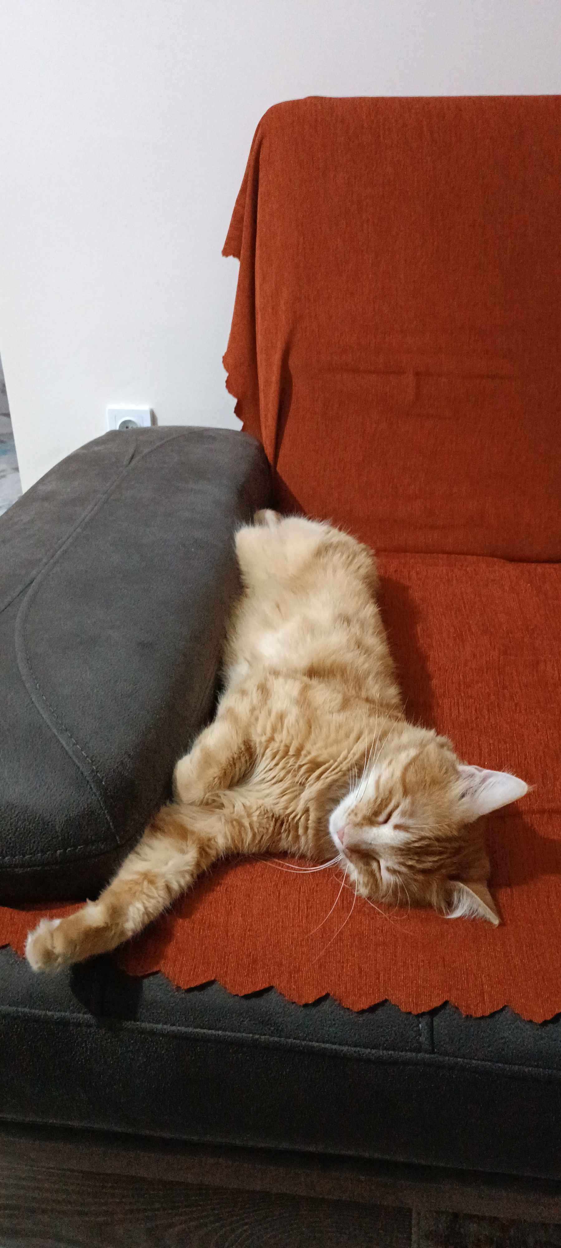 Ürün Görseli