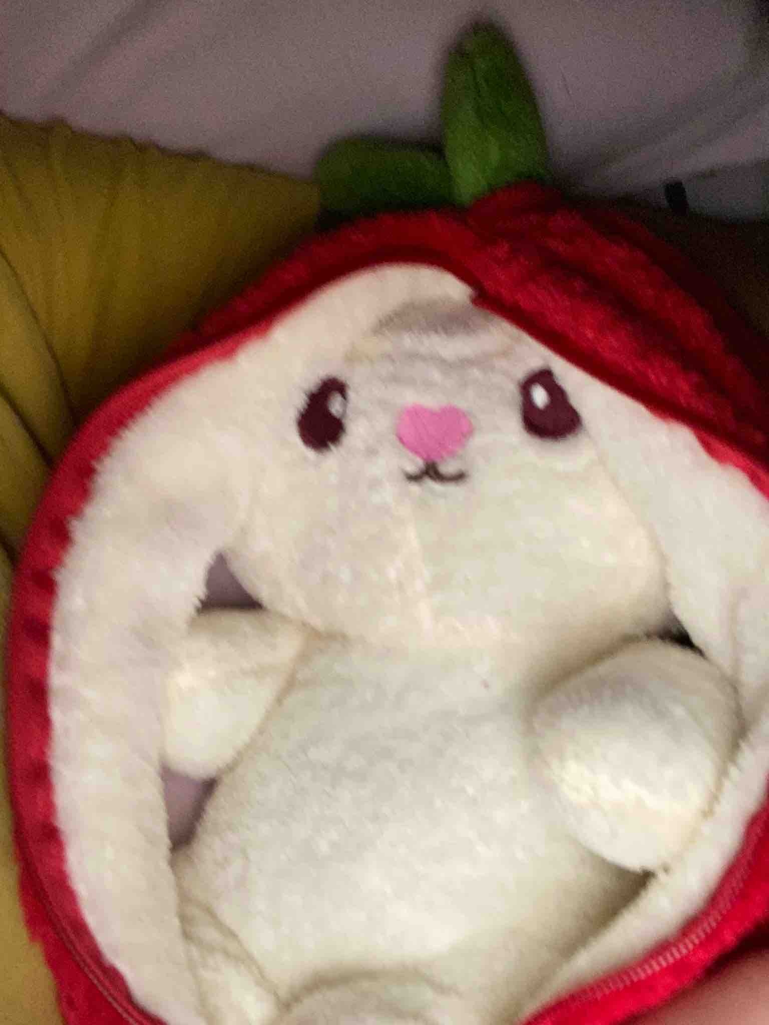 Ürün Görseli
