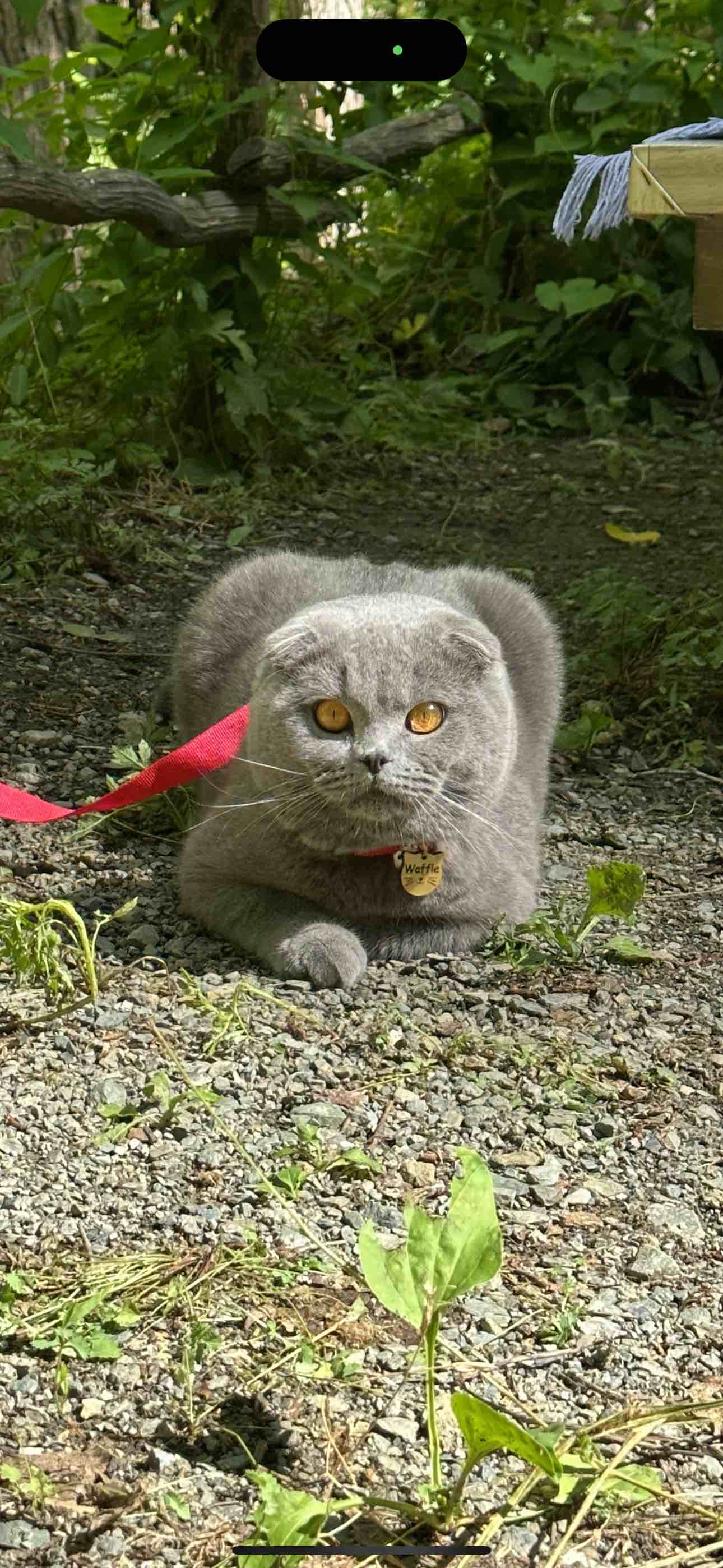 Ürün Görseli
