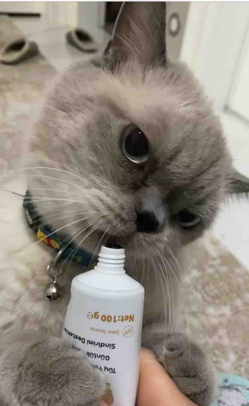 Ürün Görseli