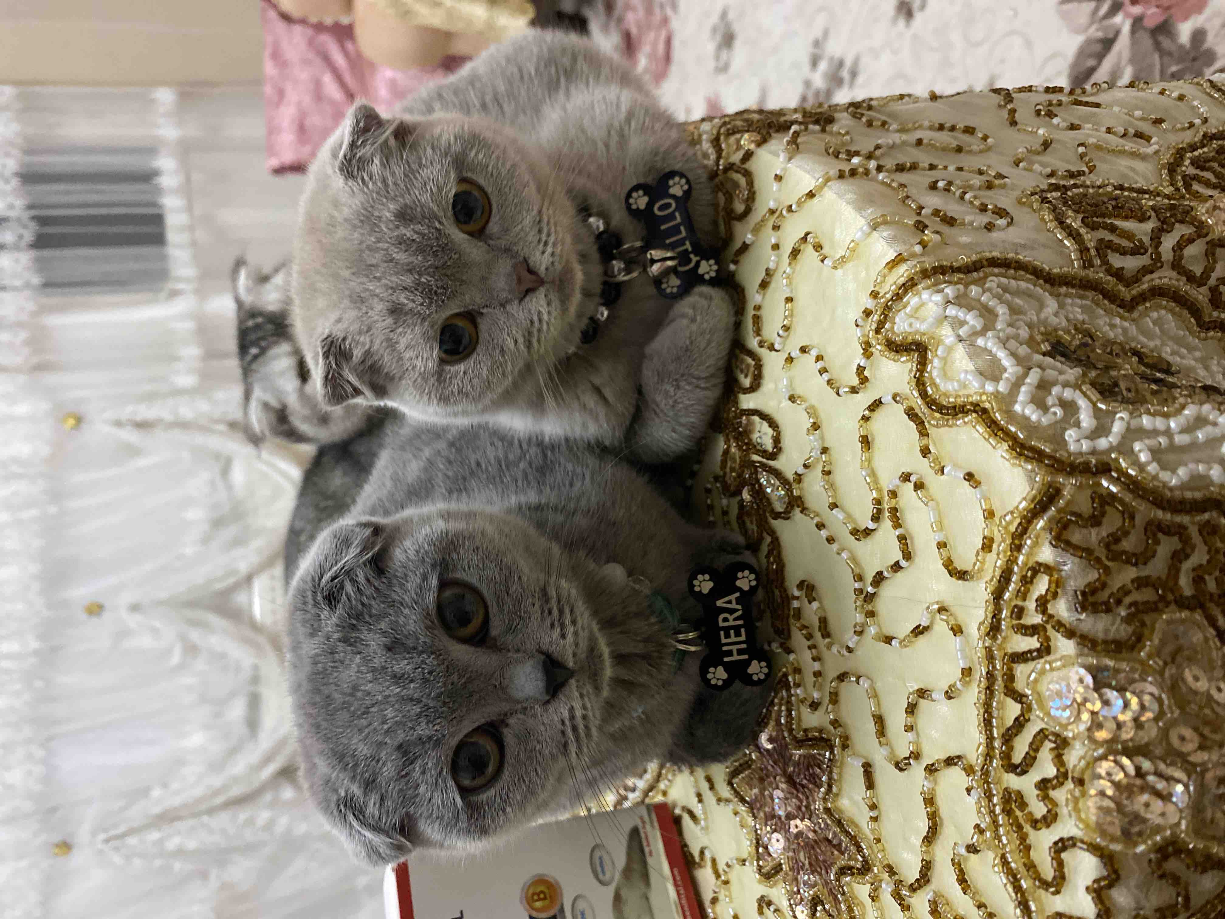 Ürün Görseli