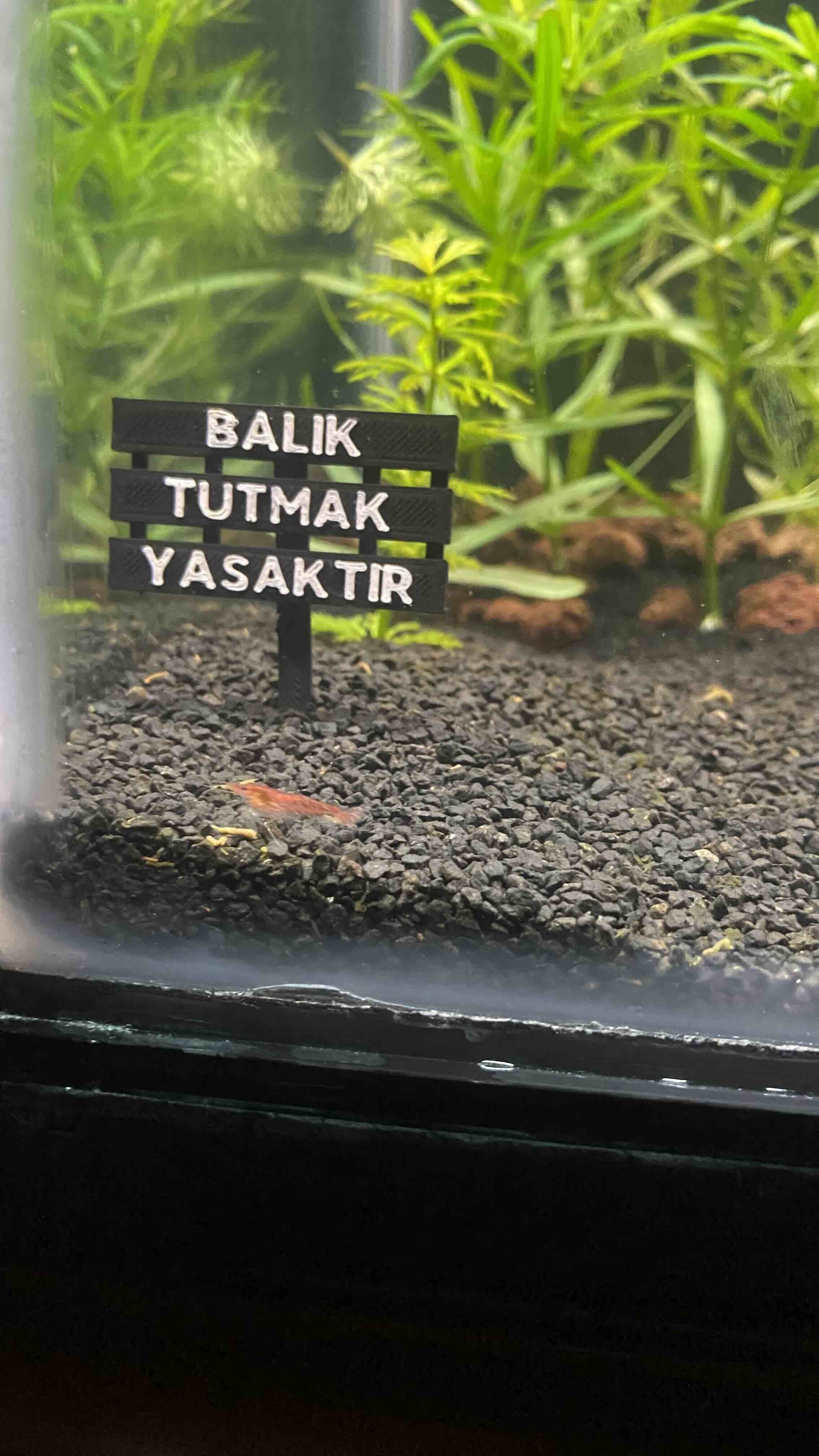 Ürün Görseli