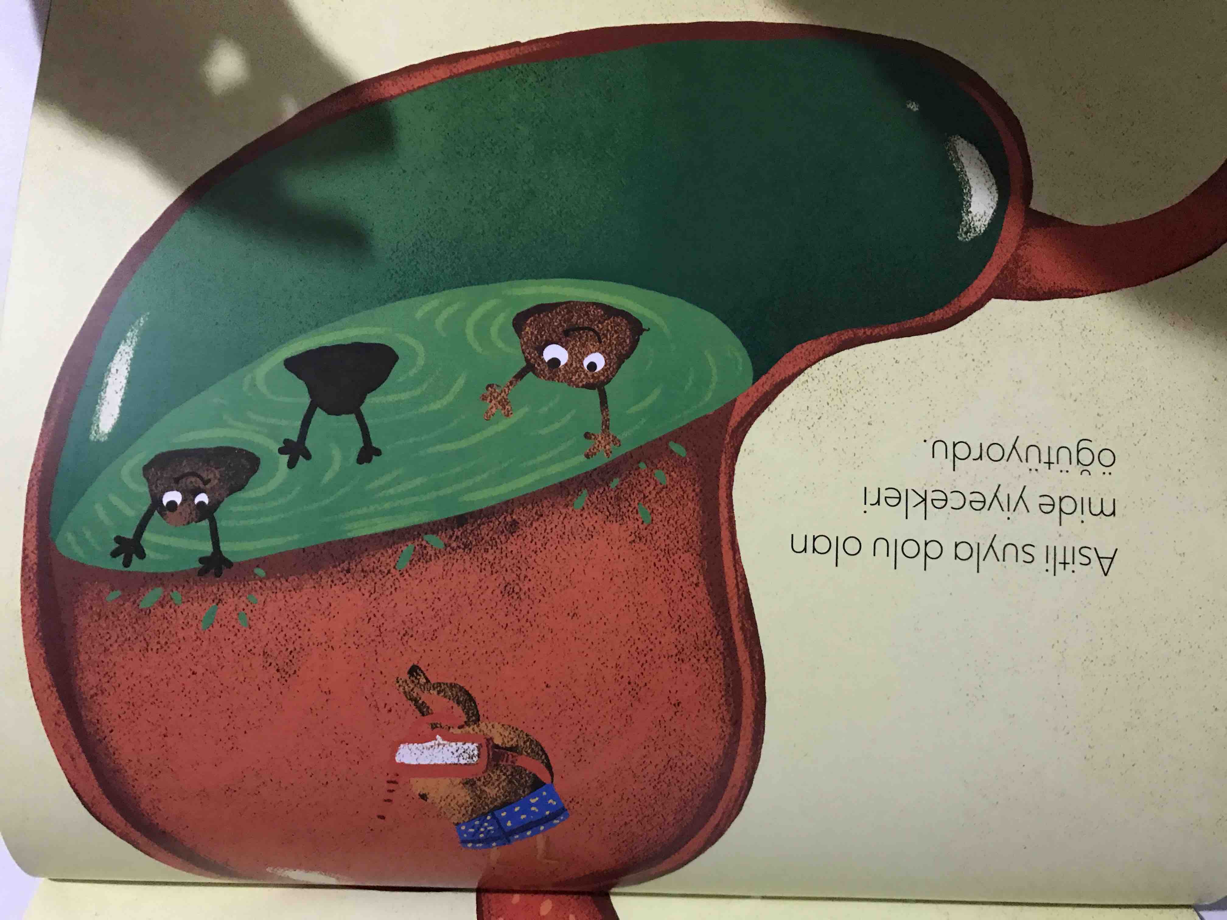 Ürün Görseli