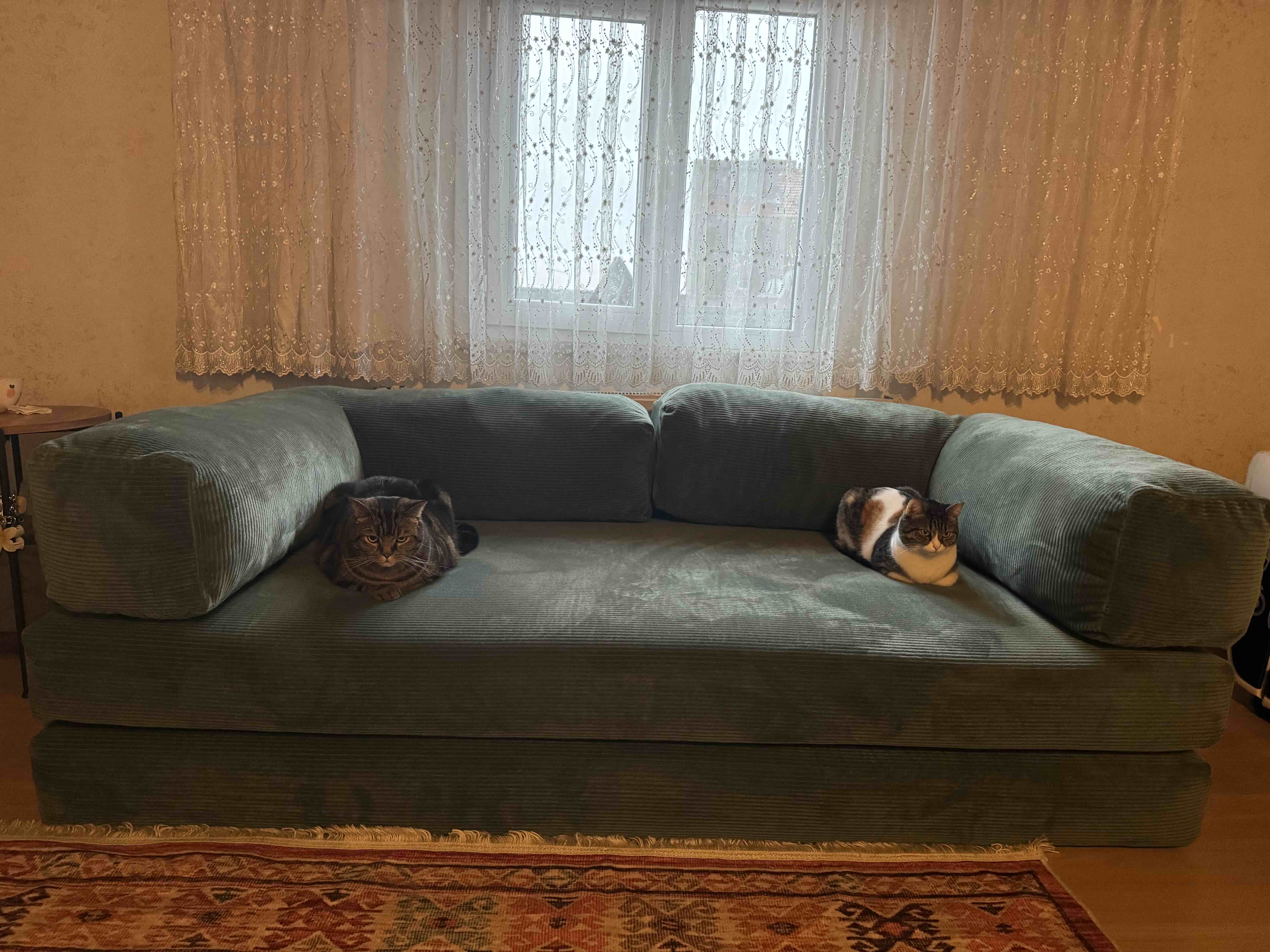 Ürün Görseli
