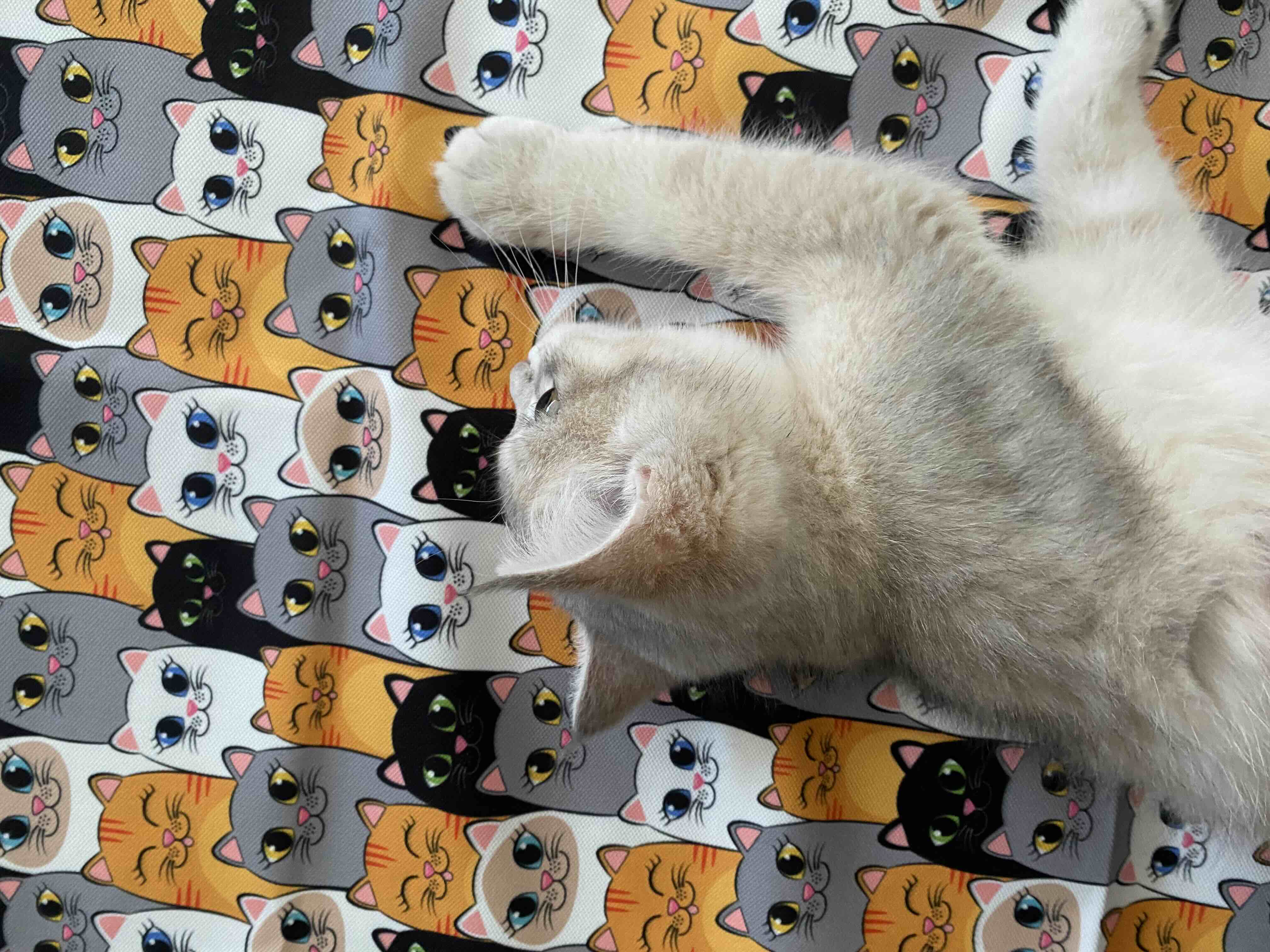 Ürün Görseli