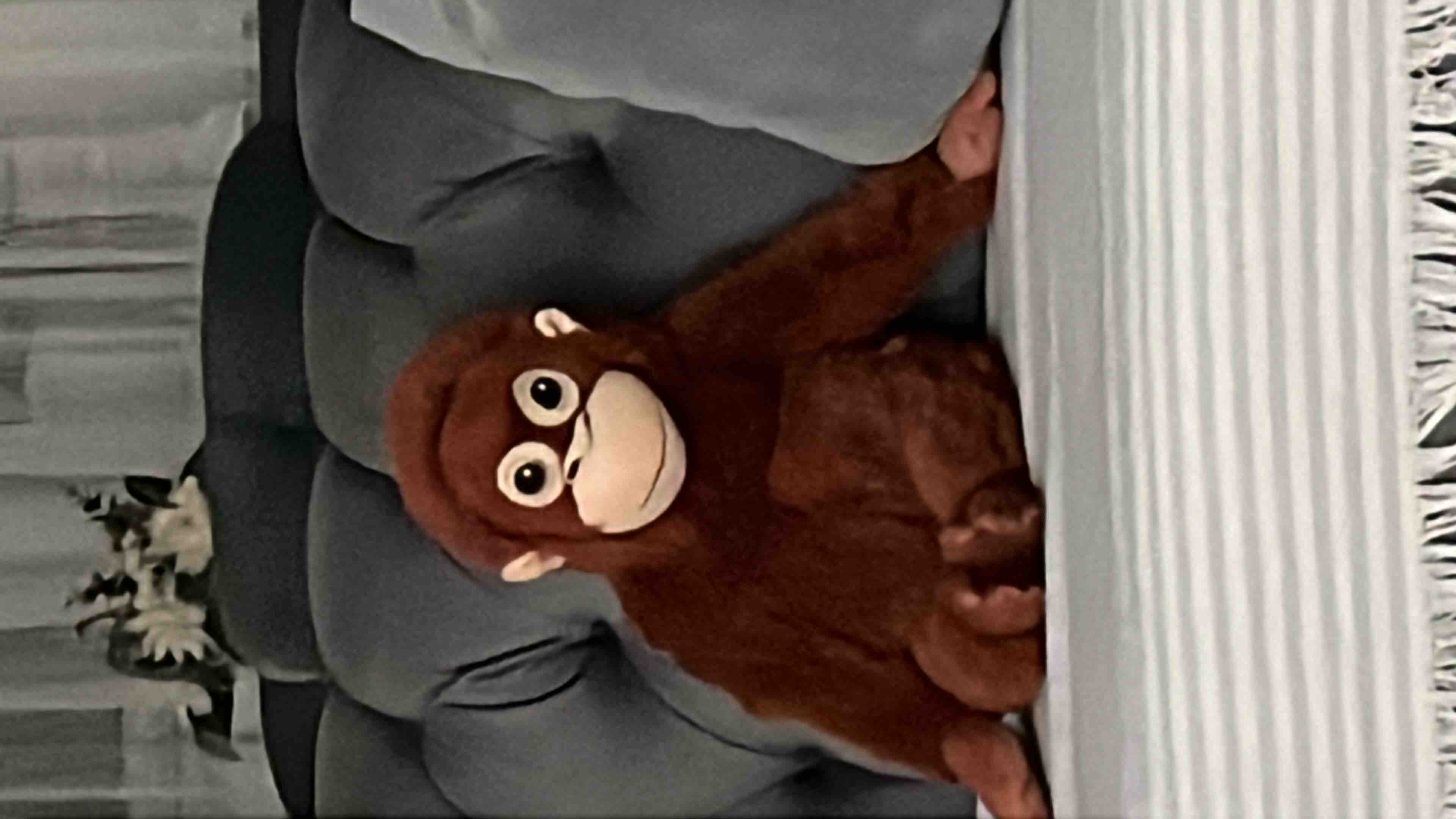 Ürün Görseli