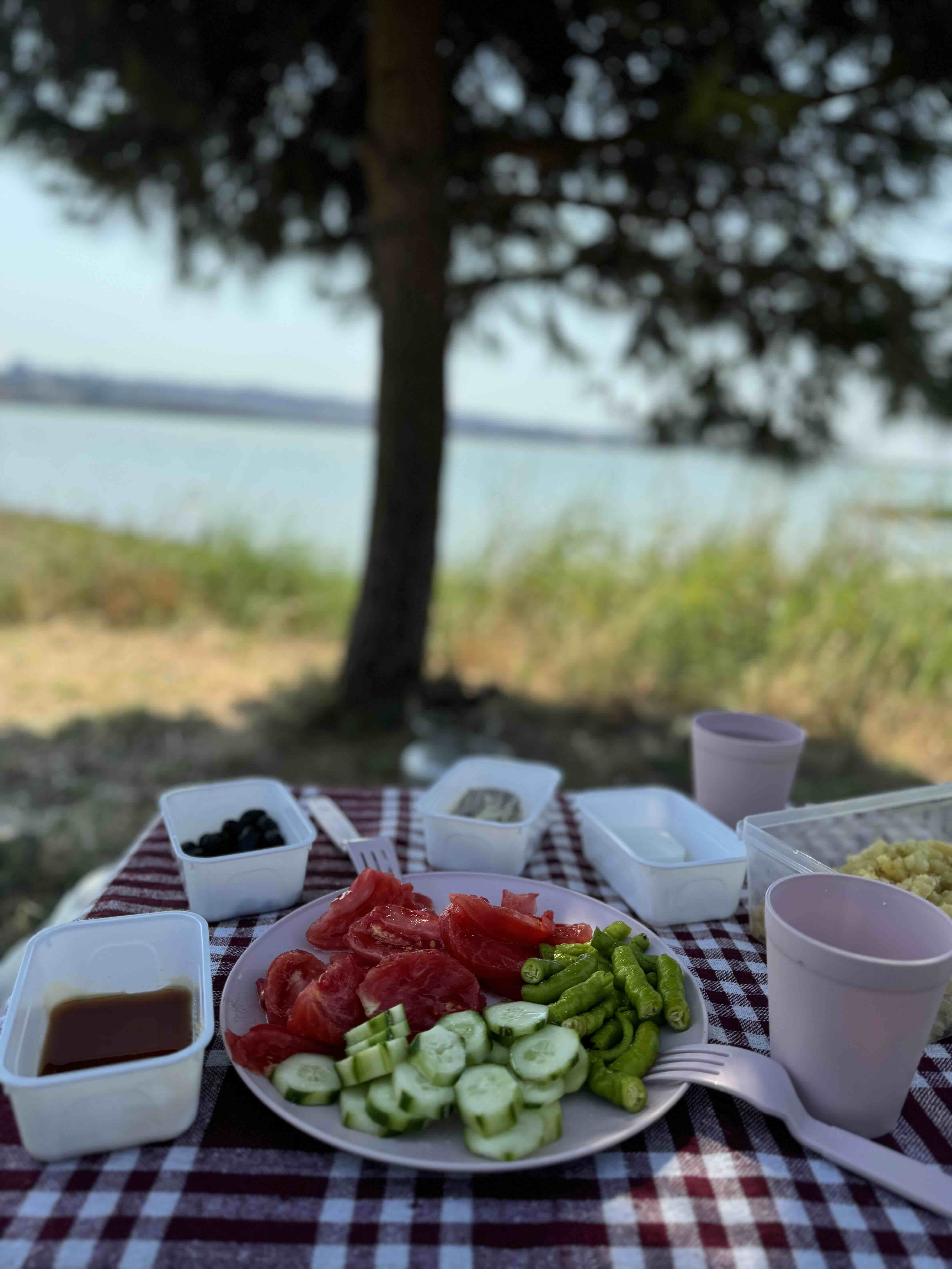 Ürün Görseli