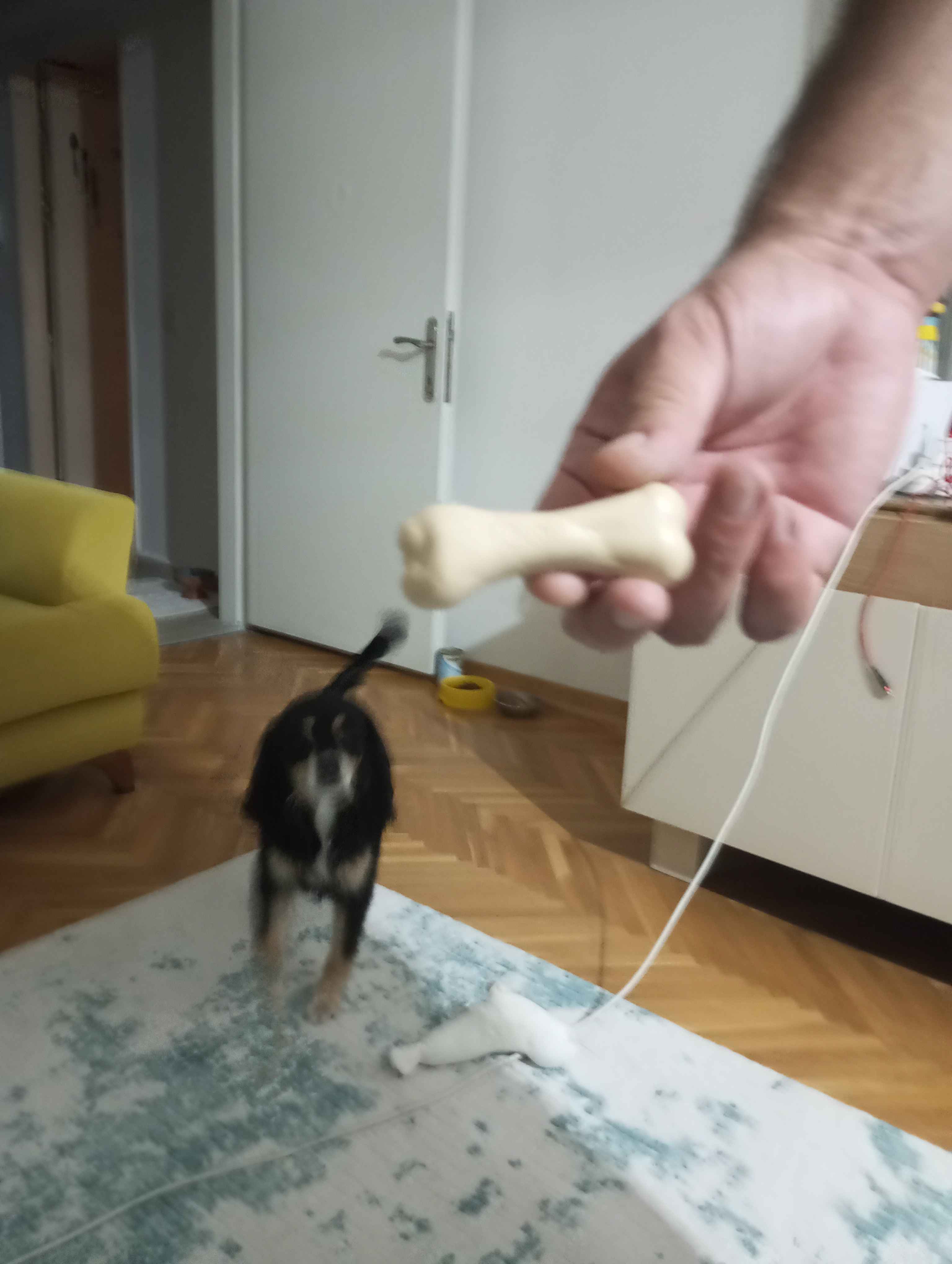 Ürün Görseli