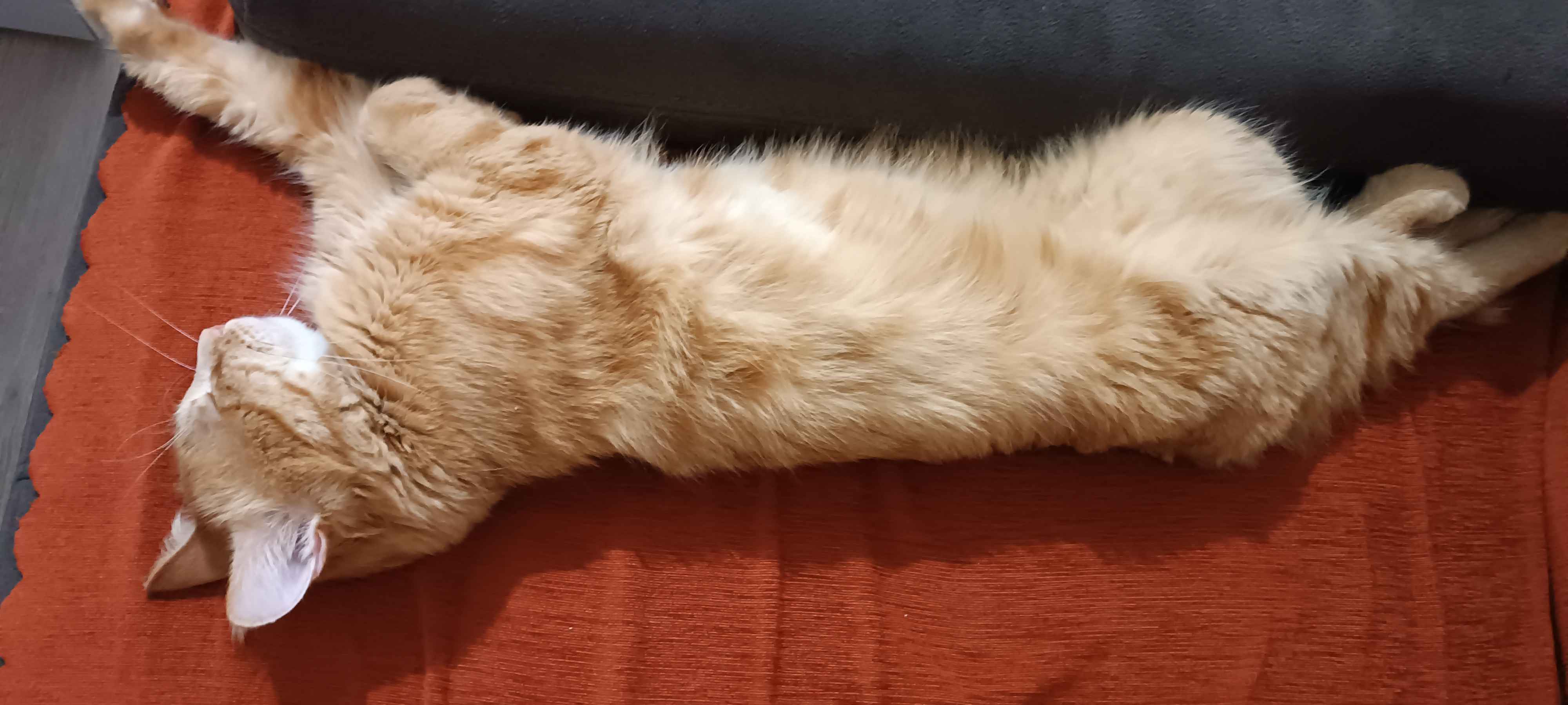 Ürün Görseli