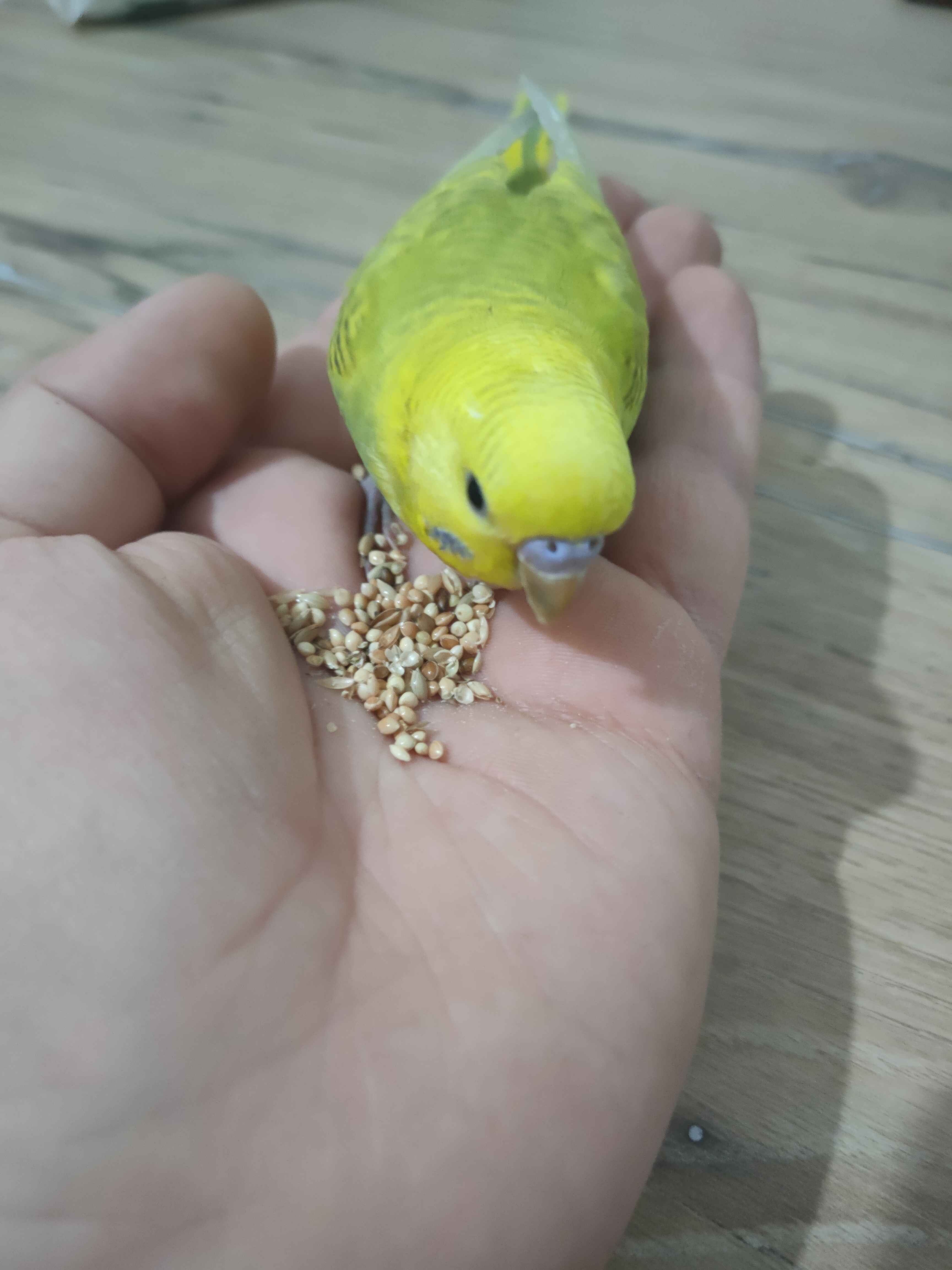 Ürün Görseli