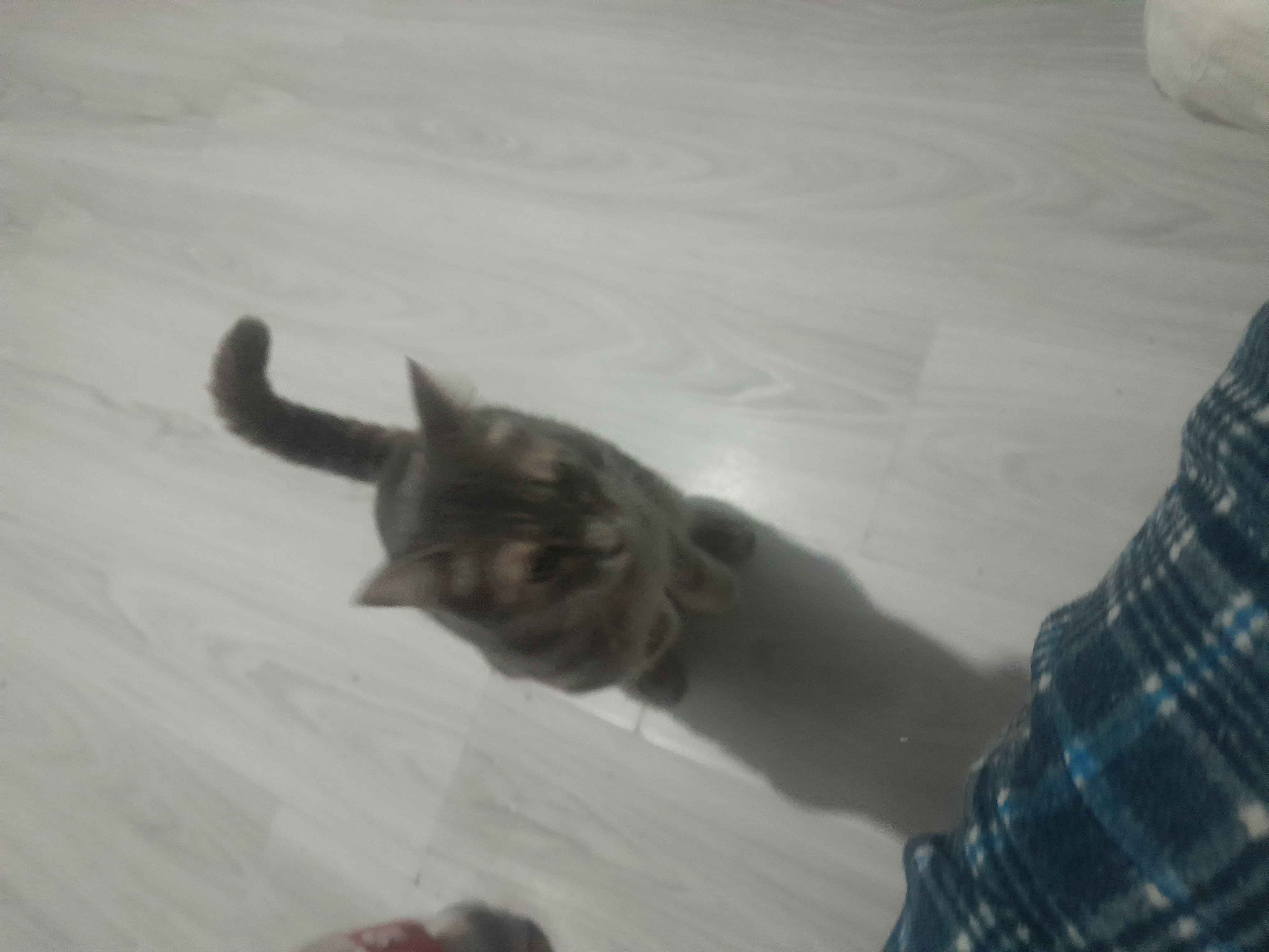 Ürün Görseli