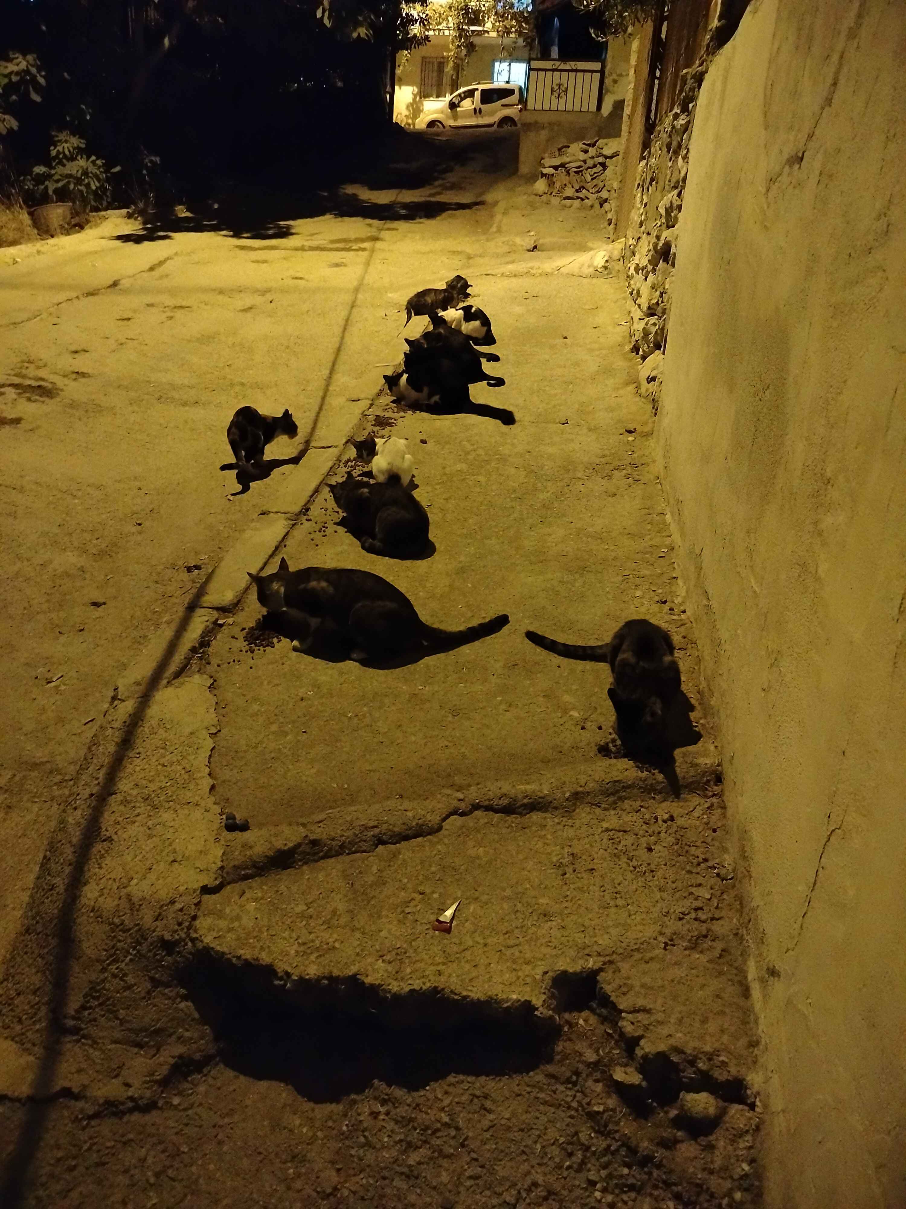 Ürün Görseli