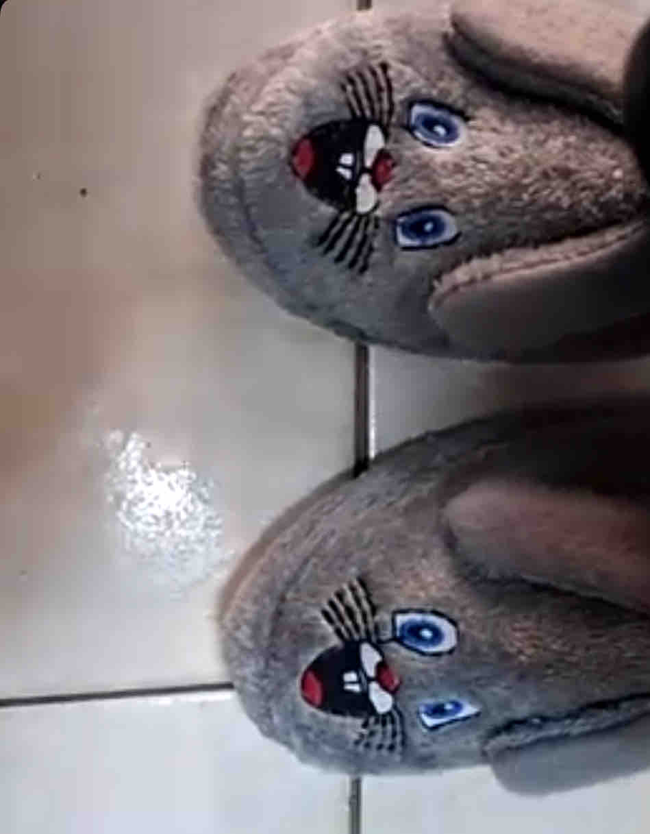 Ürün Görseli