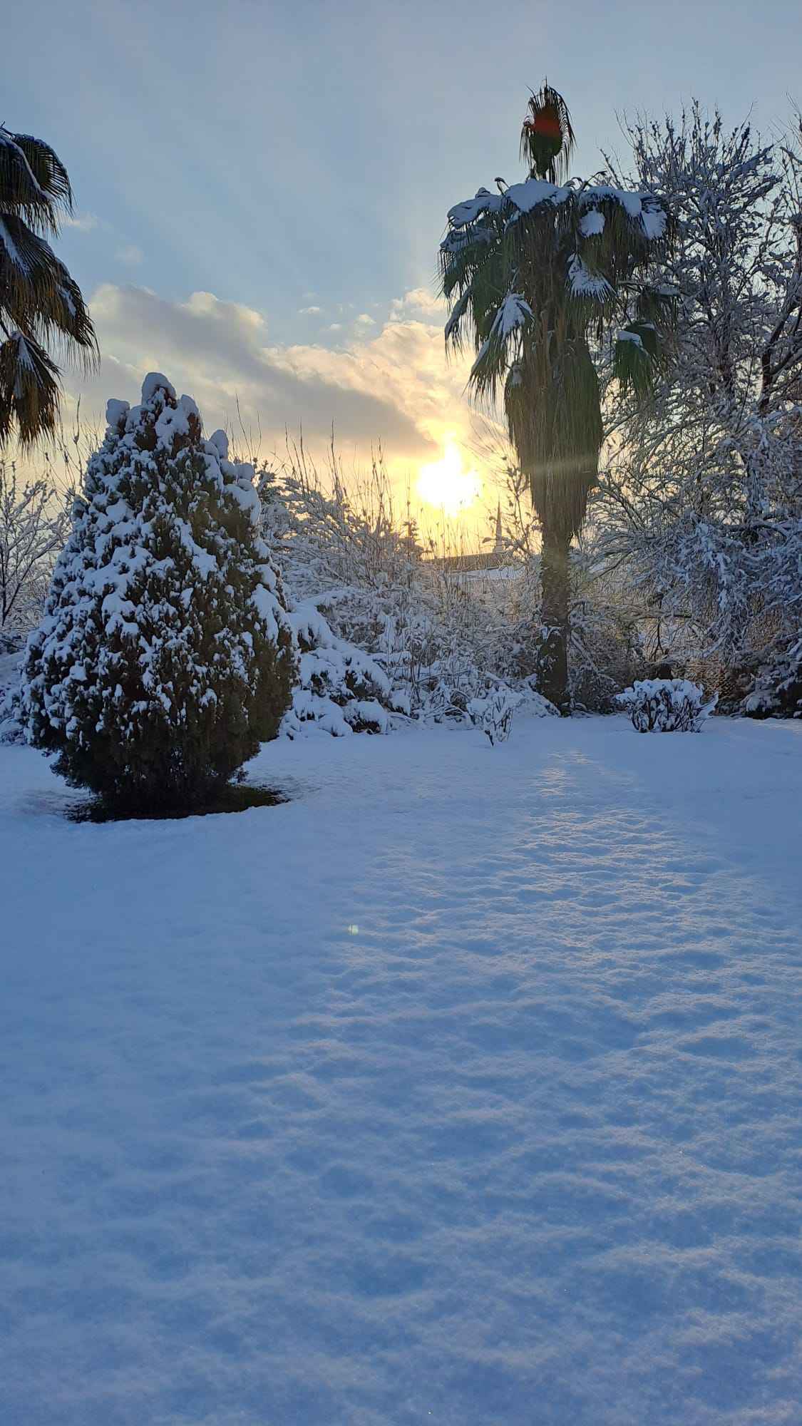 Ürün Görseli
