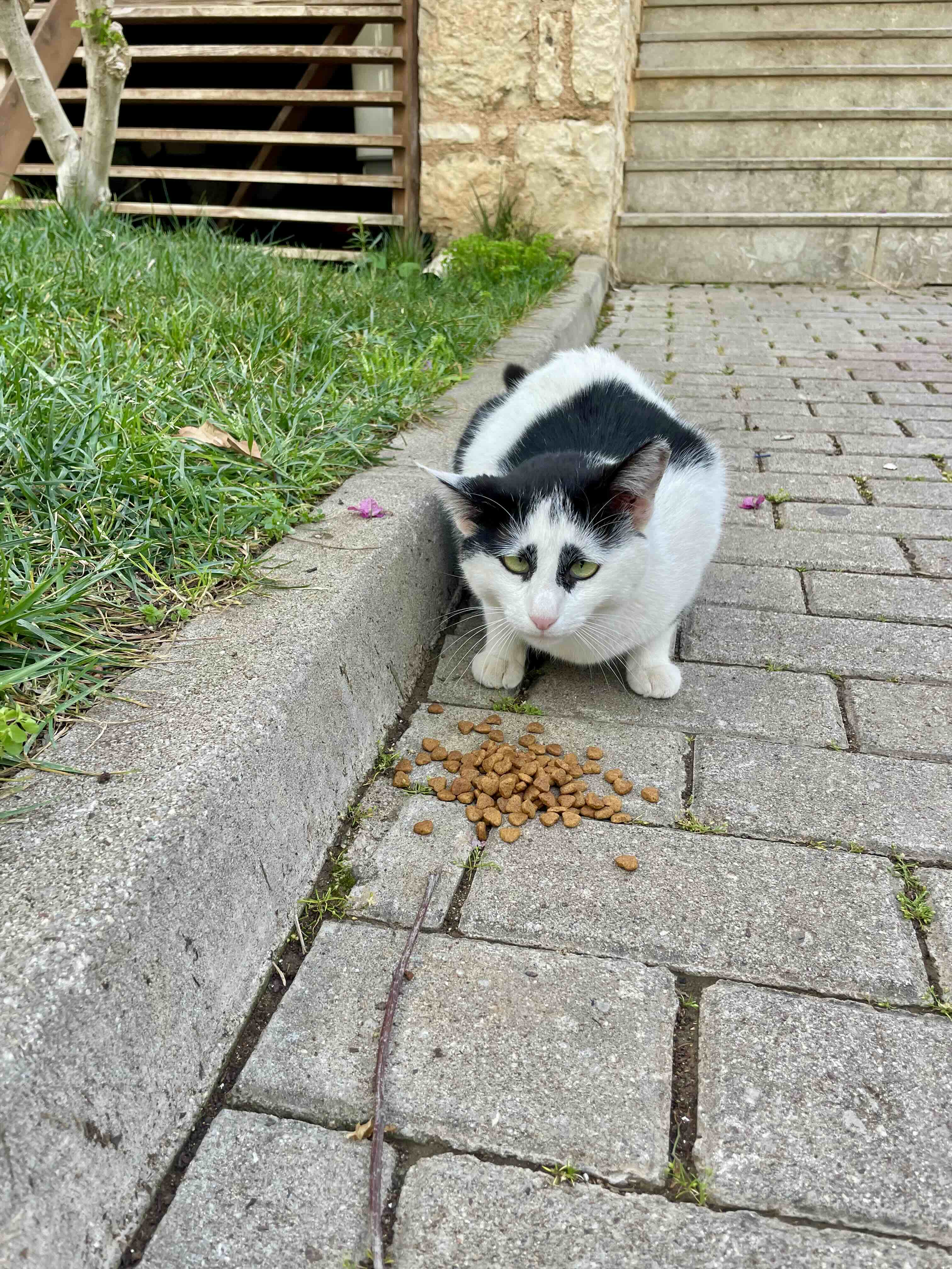 Ürün Görseli