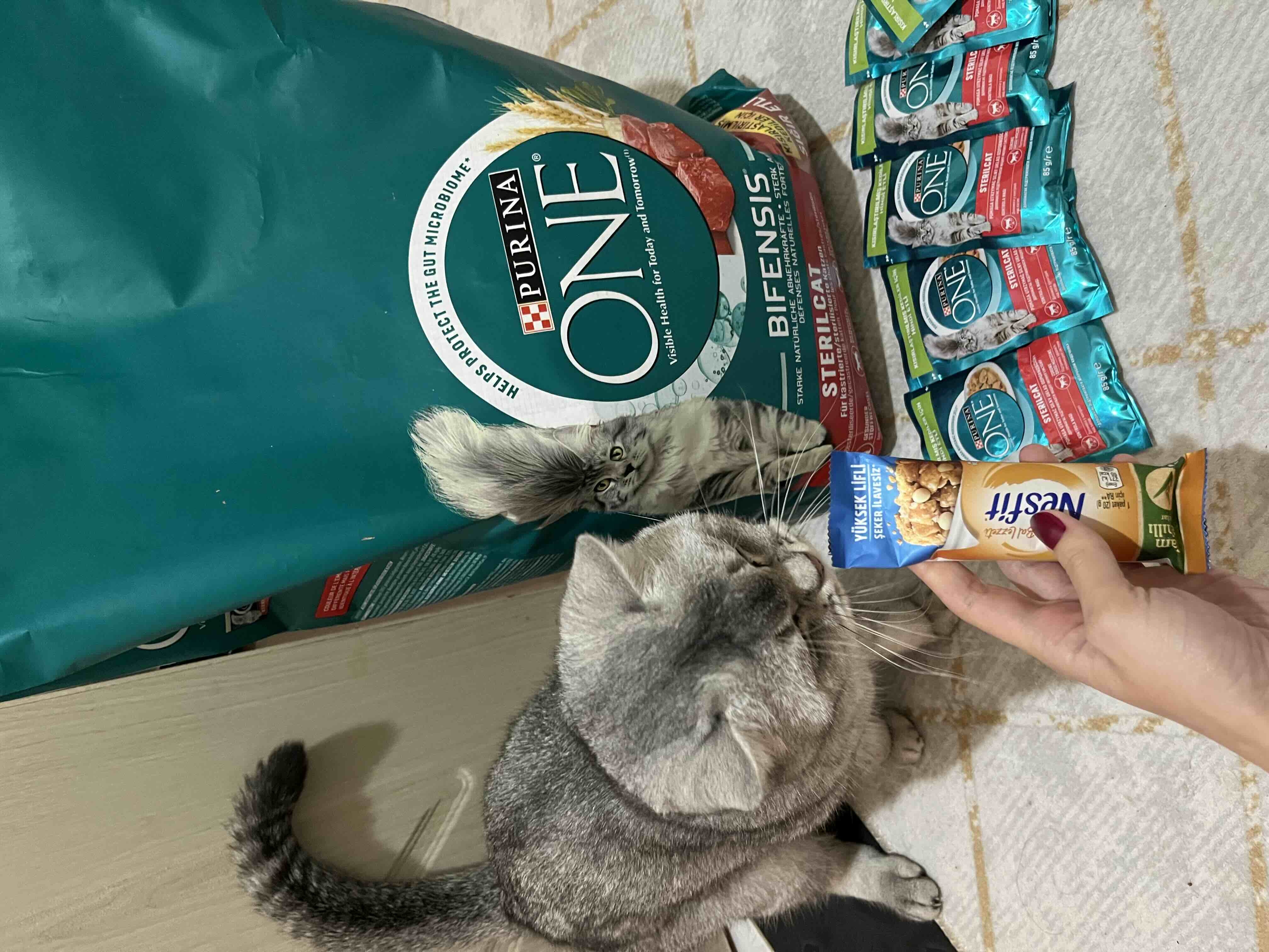 Ürün Görseli
