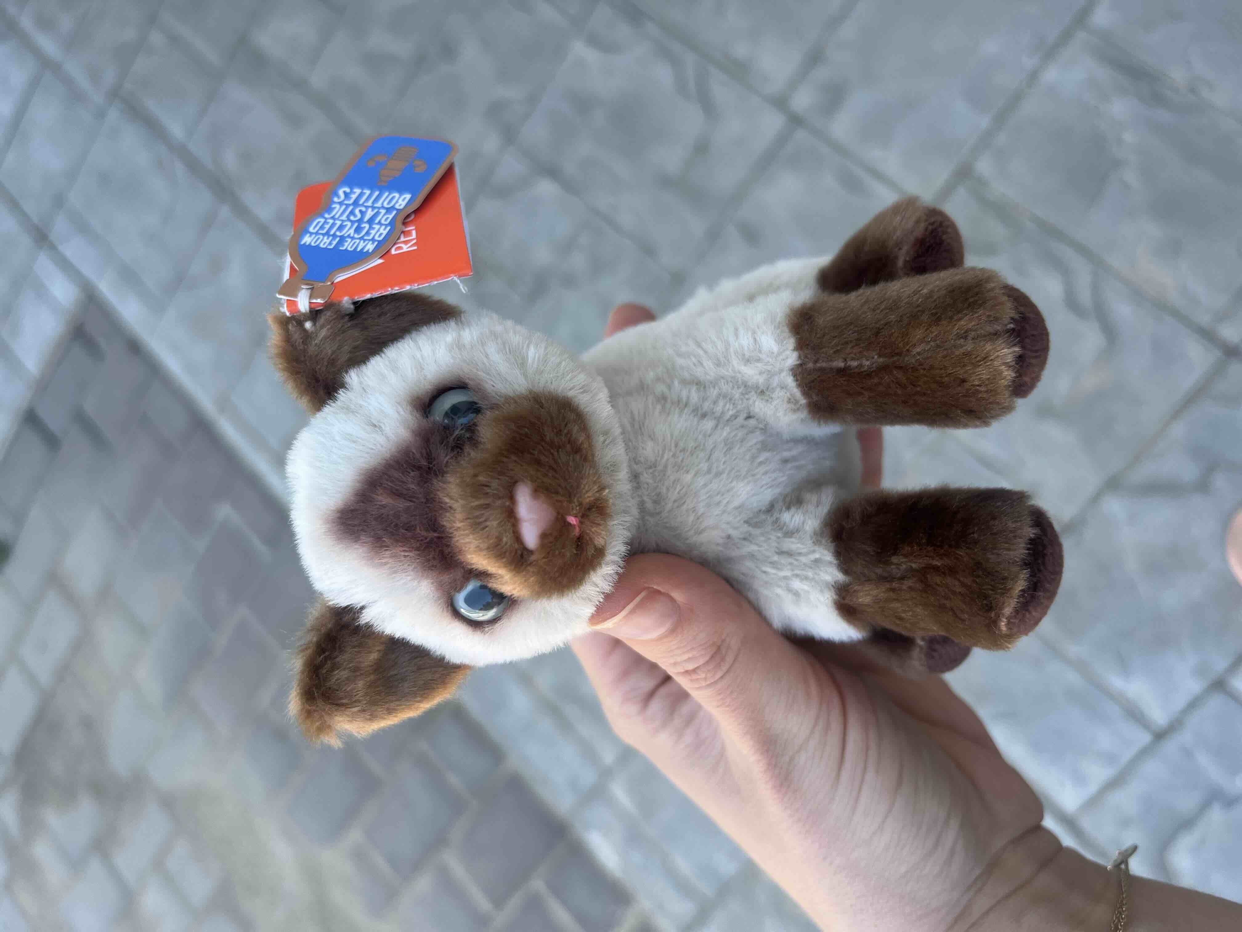 Ürün Görseli