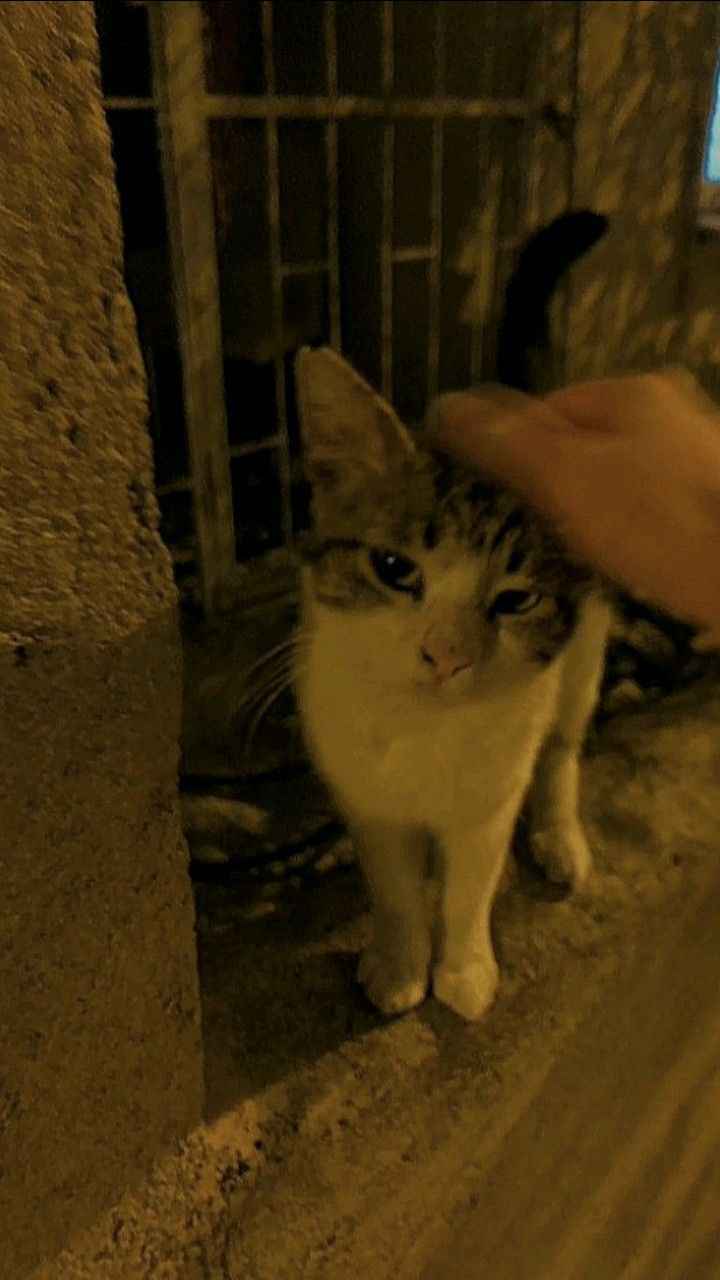 Ürün Görseli