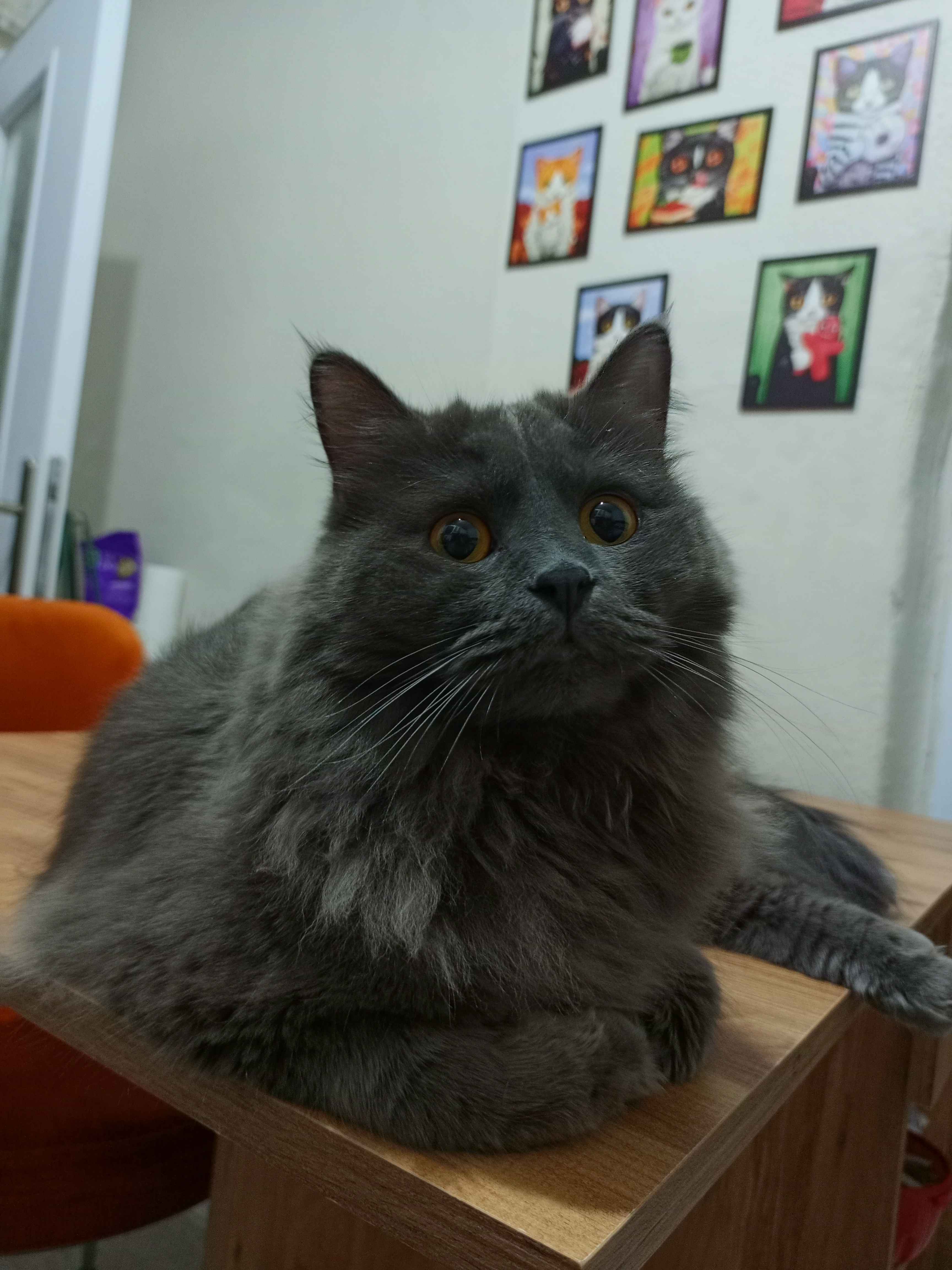 Ürün Görseli