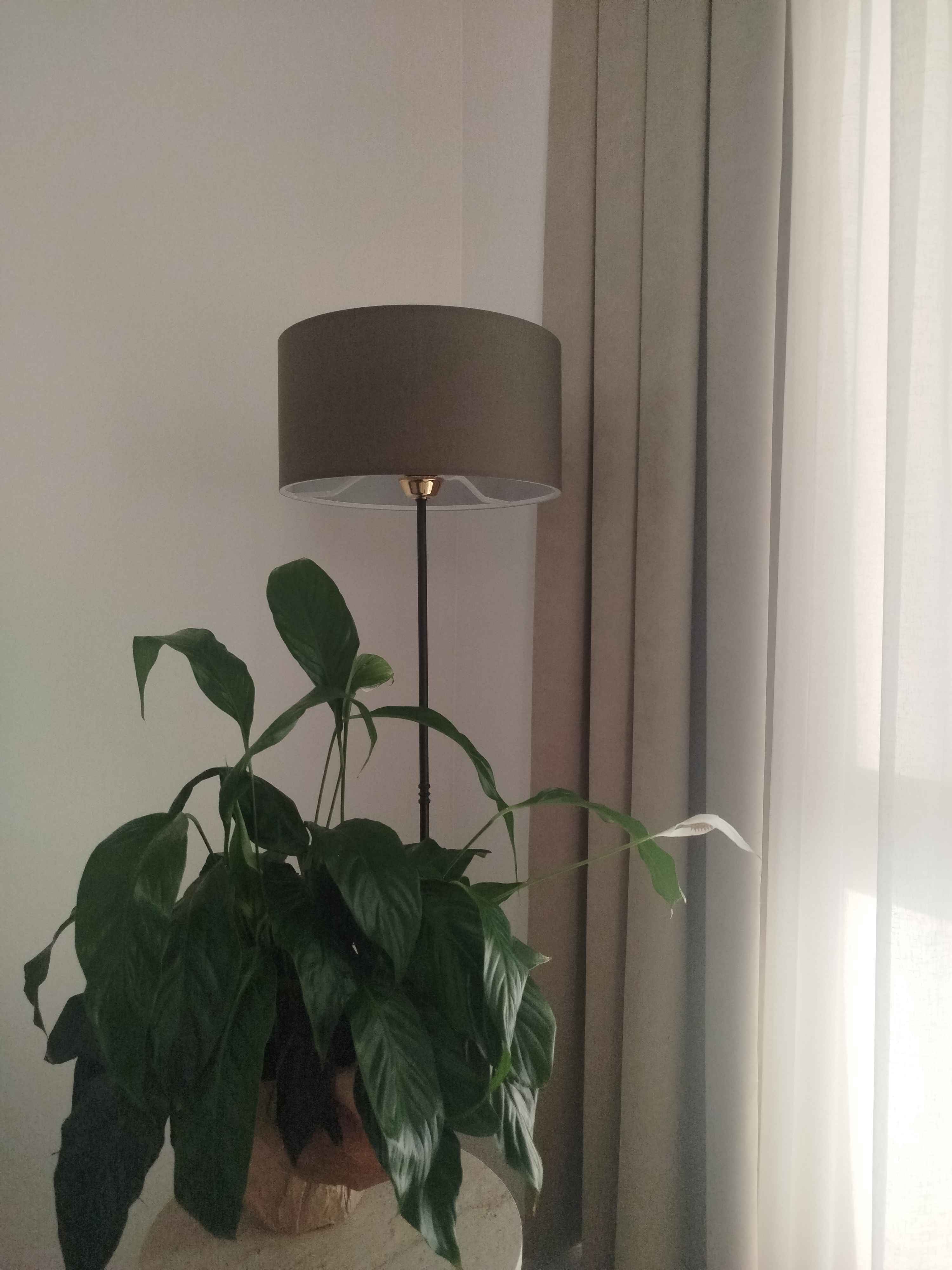 Venus Lambader Haki Yeşil (38x38x143 cm)